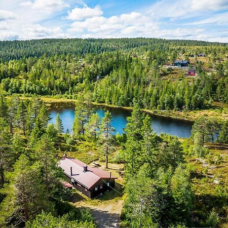 Ro I Sjelen. Hytte Til Leie Pa Skrim. Kongsberg المظهر الخارجي الصورة