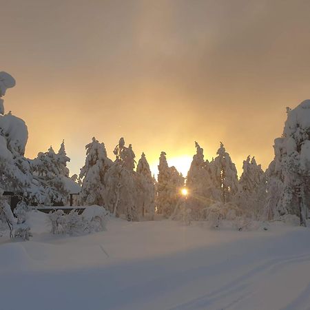 Ro I Sjelen. Hytte Til Leie Pa Skrim. Kongsberg المظهر الخارجي الصورة