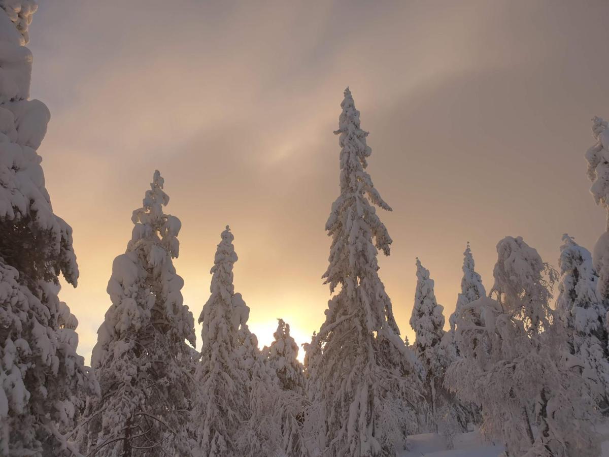 Ro I Sjelen. Hytte Til Leie Pa Skrim. Kongsberg المظهر الخارجي الصورة