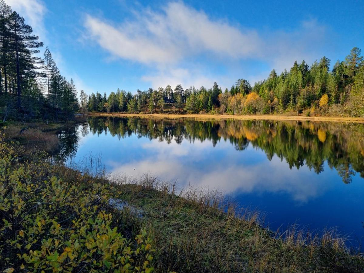 Ro I Sjelen. Hytte Til Leie Pa Skrim. Kongsberg المظهر الخارجي الصورة
