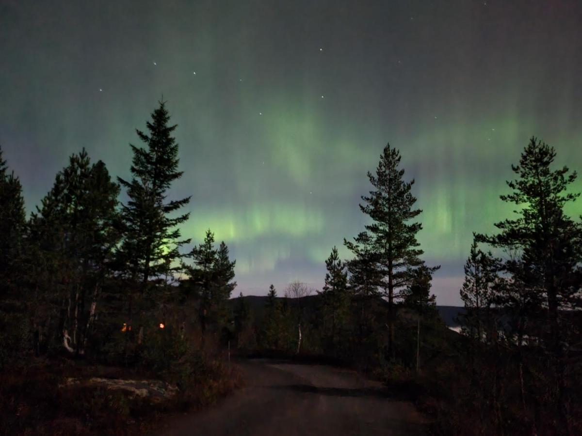 Ro I Sjelen. Hytte Til Leie Pa Skrim. Kongsberg المظهر الخارجي الصورة