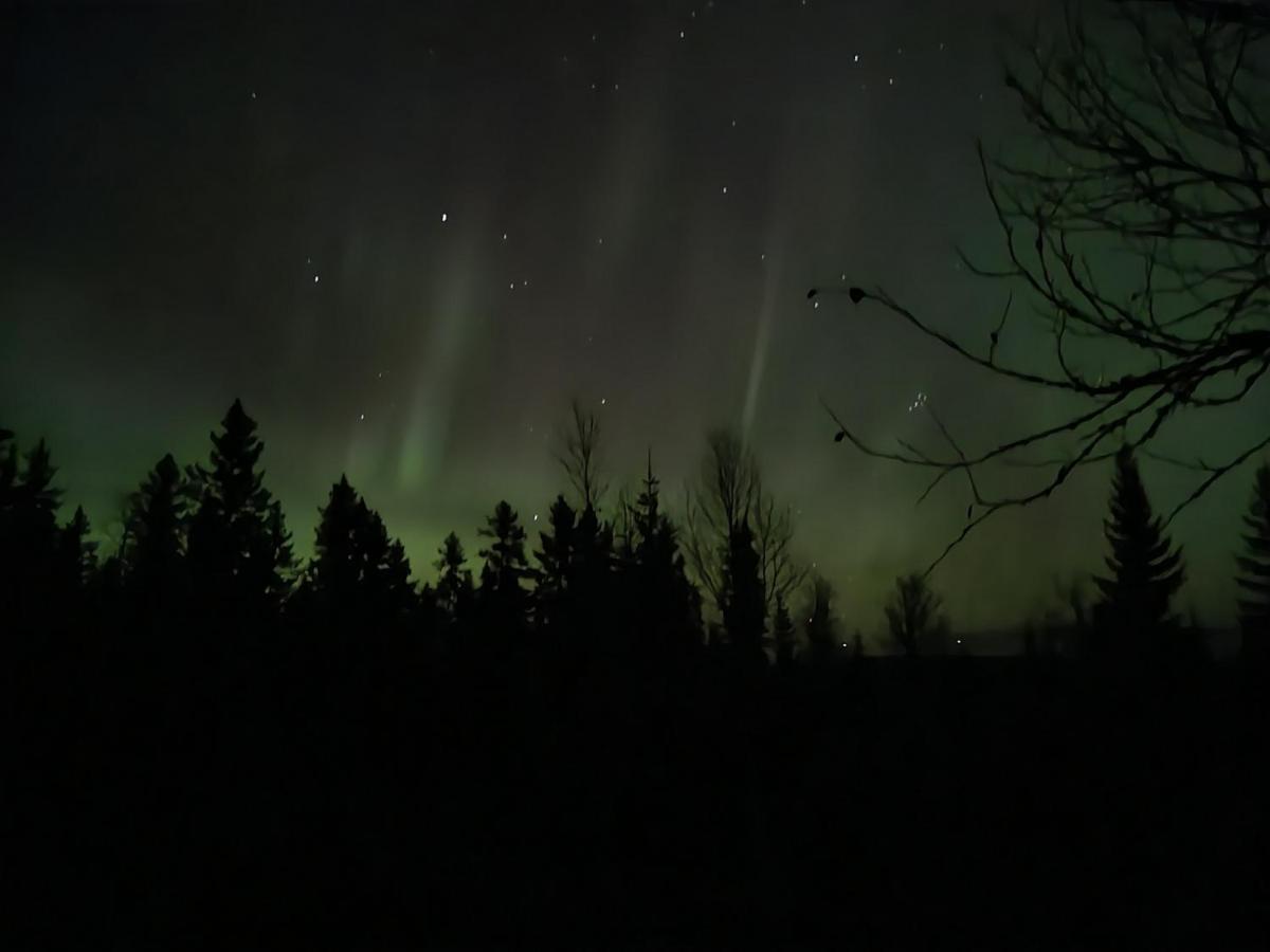 Ro I Sjelen. Hytte Til Leie Pa Skrim. Kongsberg المظهر الخارجي الصورة