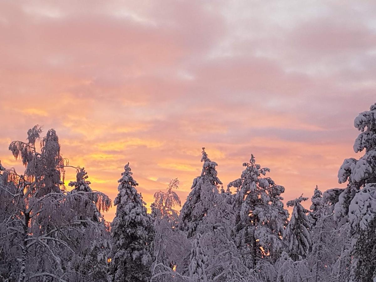 Ro I Sjelen. Hytte Til Leie Pa Skrim. Kongsberg المظهر الخارجي الصورة