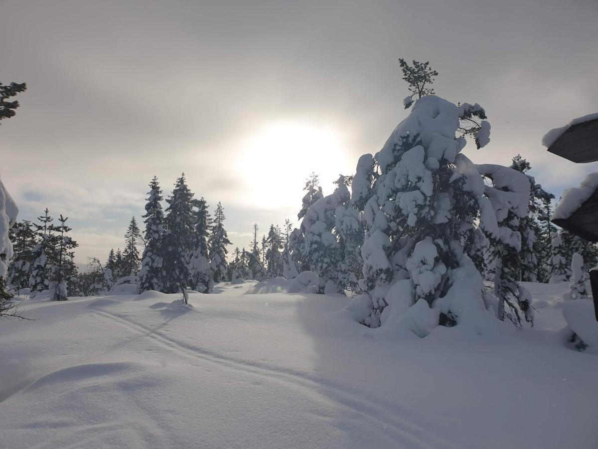 Ro I Sjelen. Hytte Til Leie Pa Skrim. Kongsberg المظهر الخارجي الصورة
