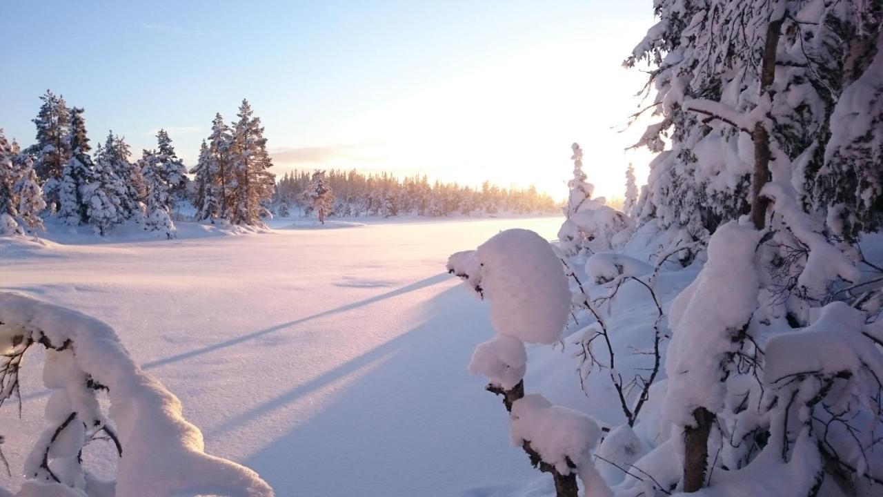 Ro I Sjelen. Hytte Til Leie Pa Skrim. Kongsberg المظهر الخارجي الصورة