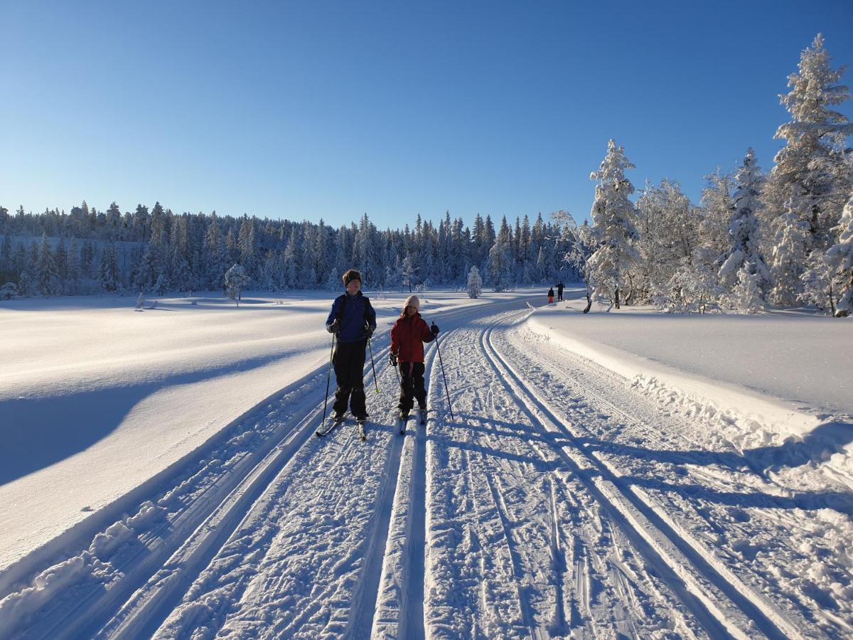 Ro I Sjelen. Hytte Til Leie Pa Skrim. Kongsberg المظهر الخارجي الصورة