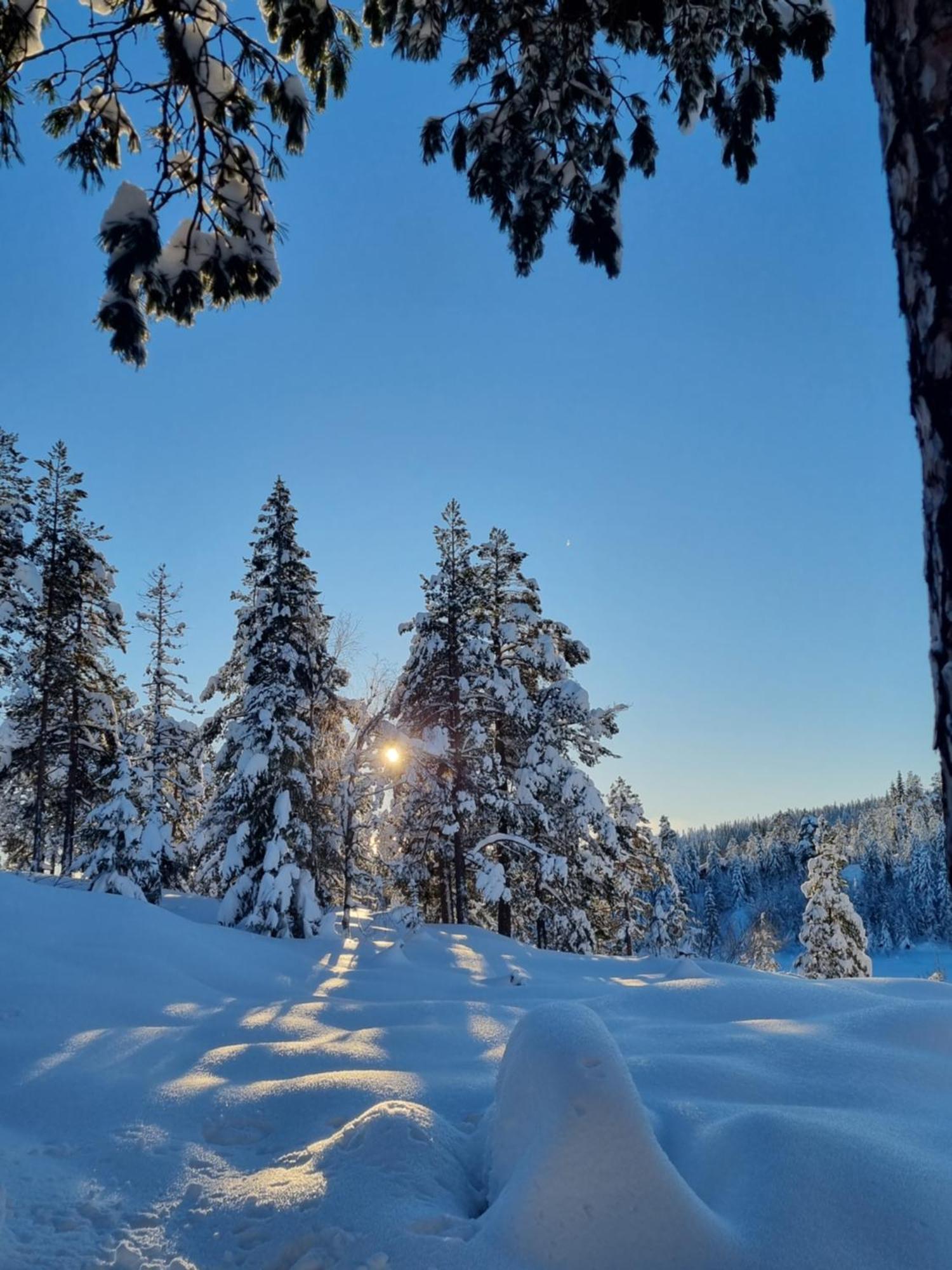 Ro I Sjelen. Hytte Til Leie Pa Skrim. Kongsberg المظهر الخارجي الصورة