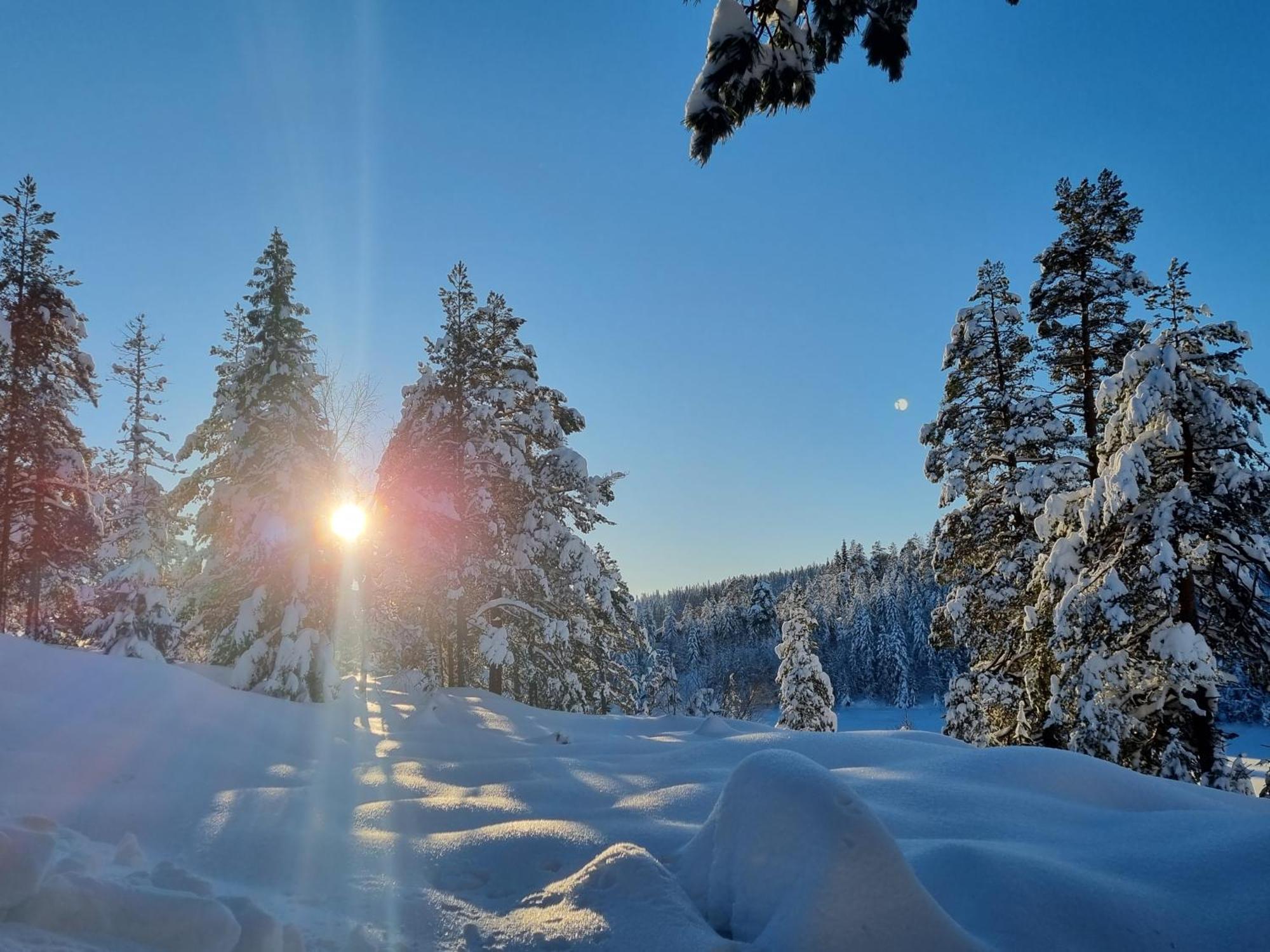 Ro I Sjelen. Hytte Til Leie Pa Skrim. Kongsberg المظهر الخارجي الصورة