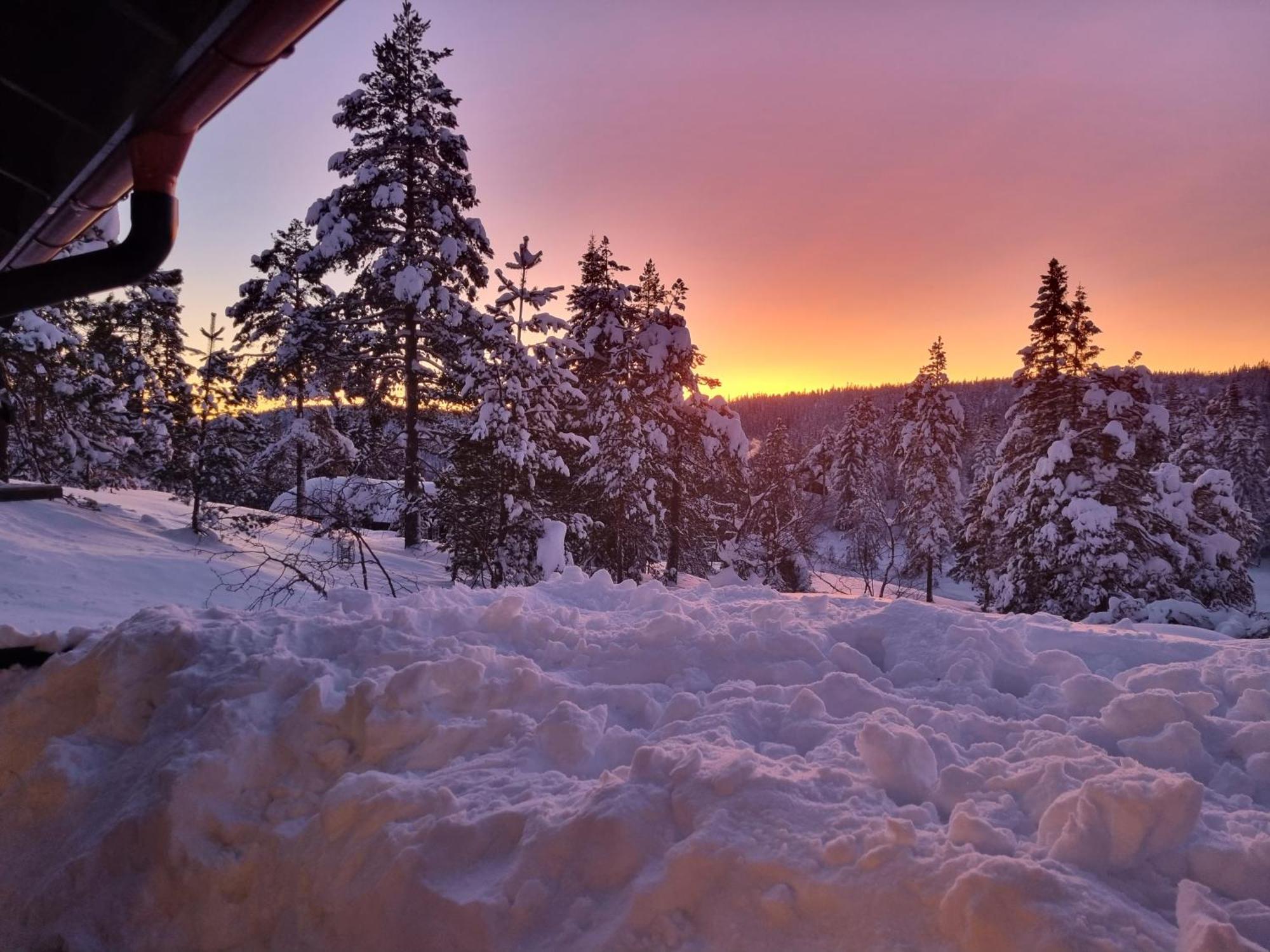 Ro I Sjelen. Hytte Til Leie Pa Skrim. Kongsberg المظهر الخارجي الصورة