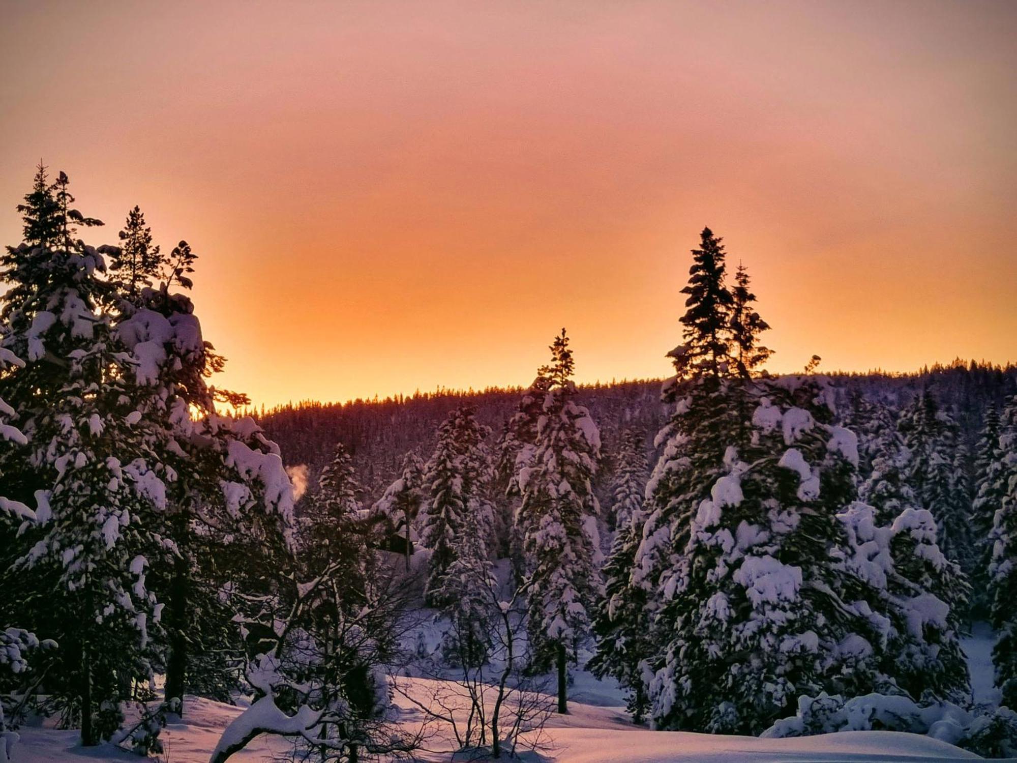 Ro I Sjelen. Hytte Til Leie Pa Skrim. Kongsberg المظهر الخارجي الصورة