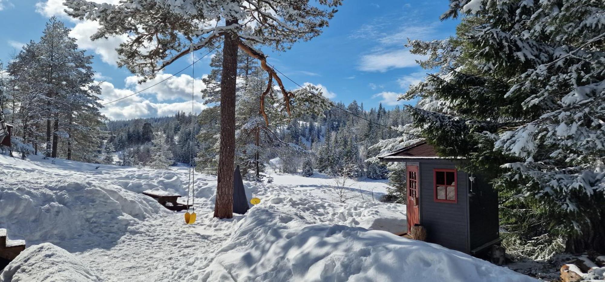 Ro I Sjelen. Hytte Til Leie Pa Skrim. Kongsberg المظهر الخارجي الصورة