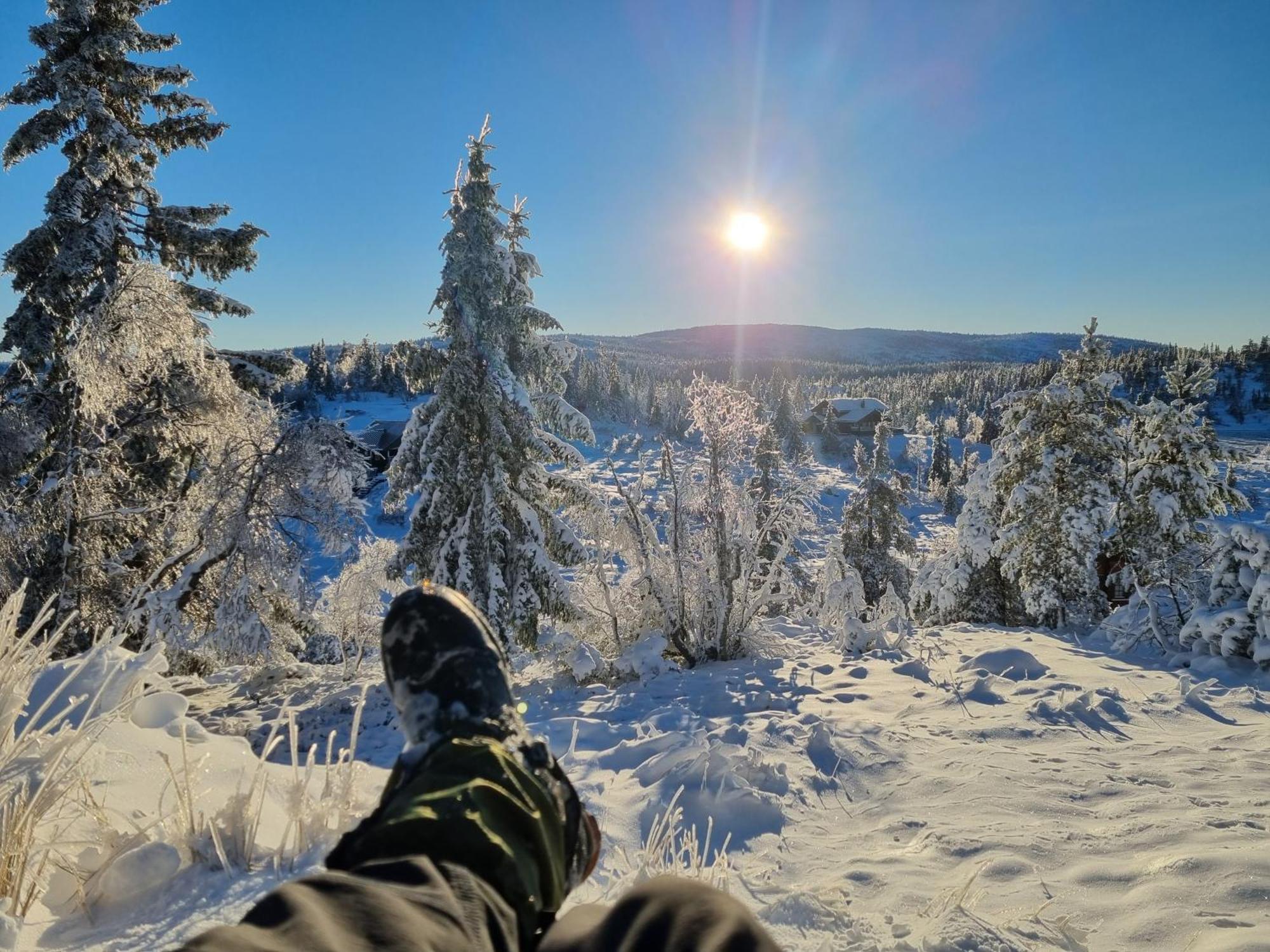 Ro I Sjelen. Hytte Til Leie Pa Skrim. Kongsberg المظهر الخارجي الصورة