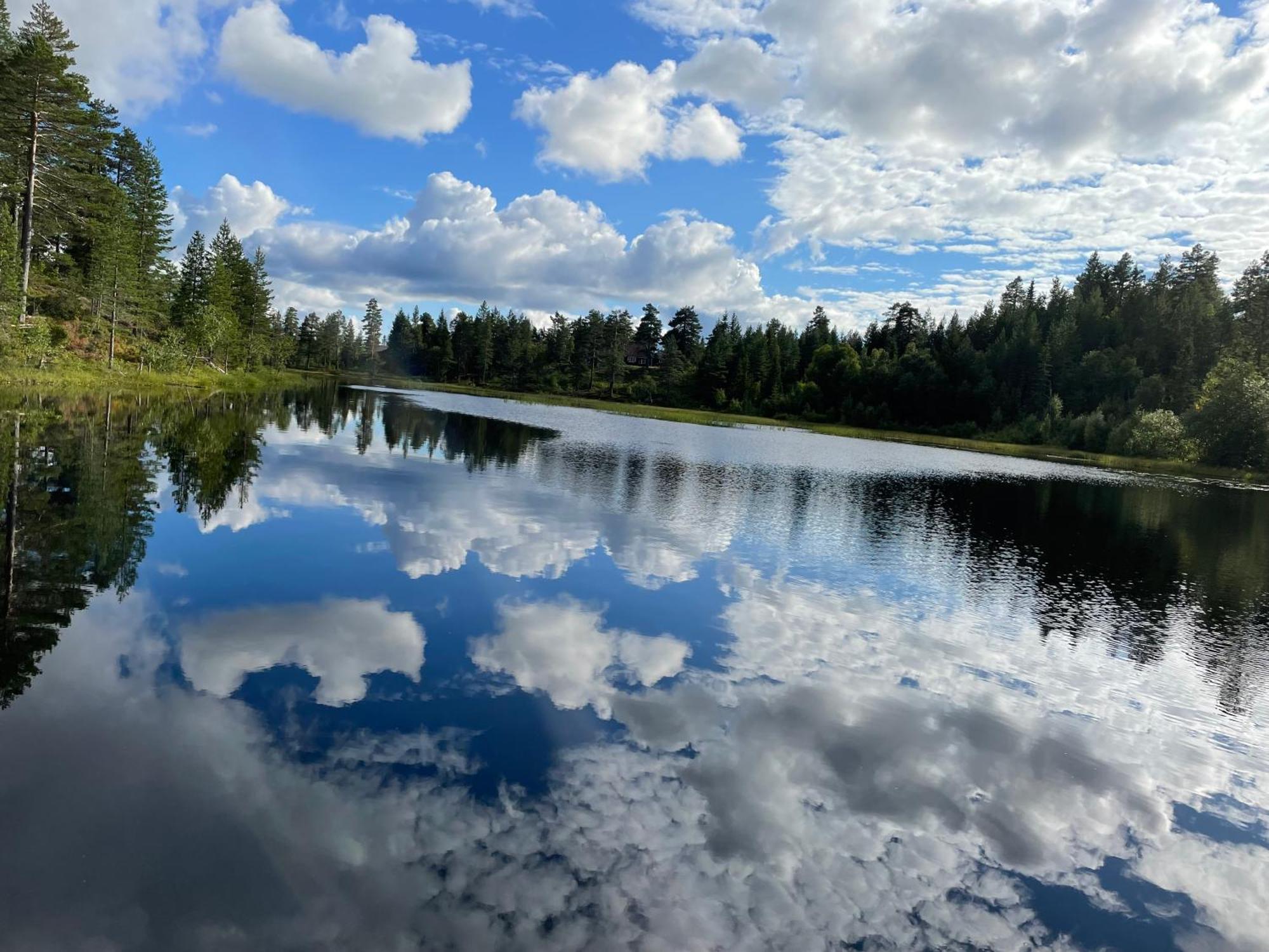 Ro I Sjelen. Hytte Til Leie Pa Skrim. Kongsberg المظهر الخارجي الصورة