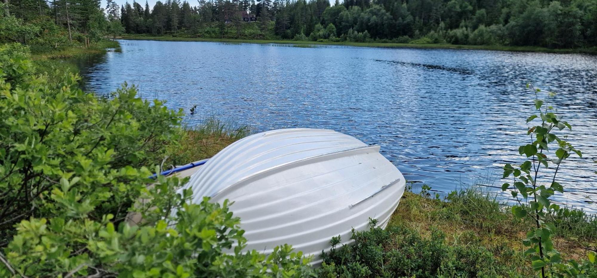Ro I Sjelen. Hytte Til Leie Pa Skrim. Kongsberg المظهر الخارجي الصورة