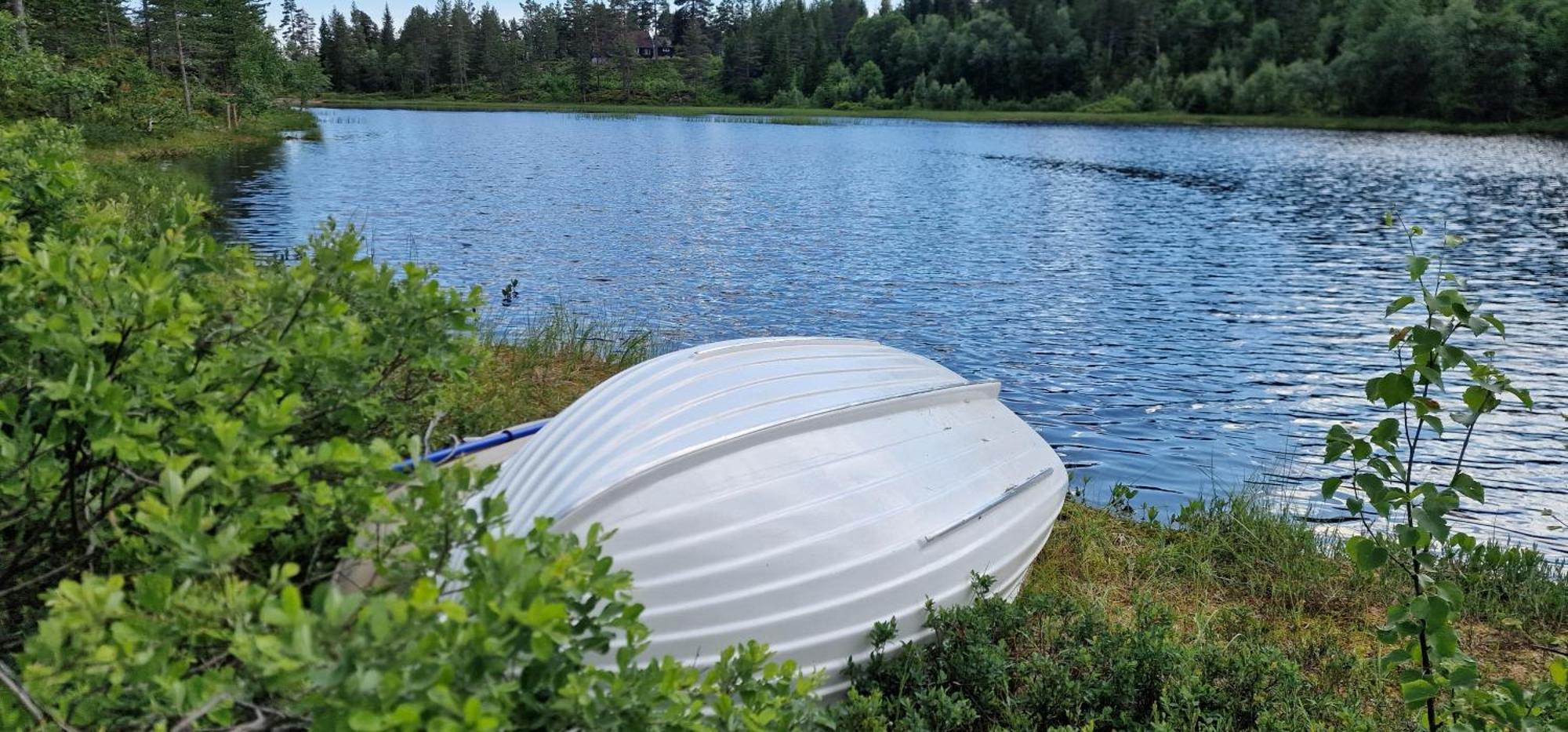 Ro I Sjelen. Hytte Til Leie Pa Skrim. Kongsberg المظهر الخارجي الصورة
